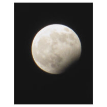 Eclipse Full Color Flyer