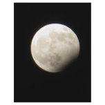Eclipse flyers