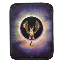 Eclipse rickshaw sleeves