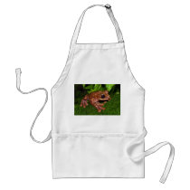 Ecnomiohyla Rabborum Rabbs Fringe Limbed Tree Frog Apron