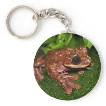 Ecnomiohyla Rabborum Rabbs Fringe Limbed Tree Frog Keychains