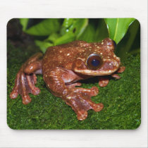 Ecnomiohyla Rabborum Rabbs Fringe Limbed Tree Frog Mouse Pads
