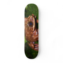 Ecnomiohyla Rabborum Rabbs Fringe Limbed Tree Frog Skateboard Deck