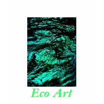 Eco+artwork