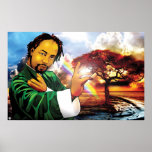 Eco kung fu posters