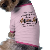 eco ninja pet clothing by econinja eco ninja pet clothing