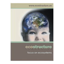 Ecostructure Financial posters