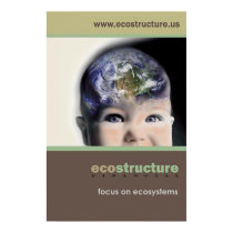 Ecostructure Poster 24x36 posters