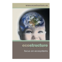 Ecostructure Poster 24x36 posters