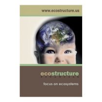 Ecostructure Poster 24x36 posters