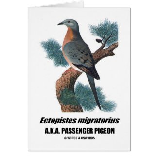 Ectopistes migratorius (Passenger Pigeon) Cards