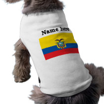 Ecuador Flag
