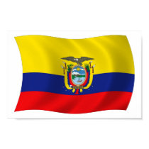 Ecuador Flag Poster Print by LivingFlags2 Ecuador Flag Poster Print