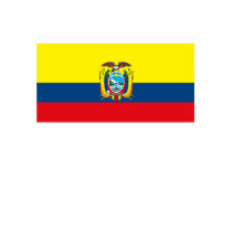 Ecuador Flag T-shirt by FlagTshirts Ecuador Flag T-shirt