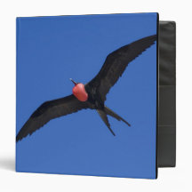 Ecuador, Galapagos. Genovesa Island aka Tower, Vinyl Binders