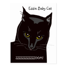 Eddie Baby Cat Postcard