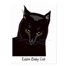 Eddie Baby Cat Postcard
