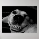 "Eddie" Framed Print