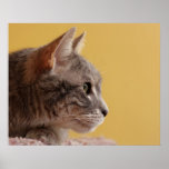 Eddie (Profile) Print