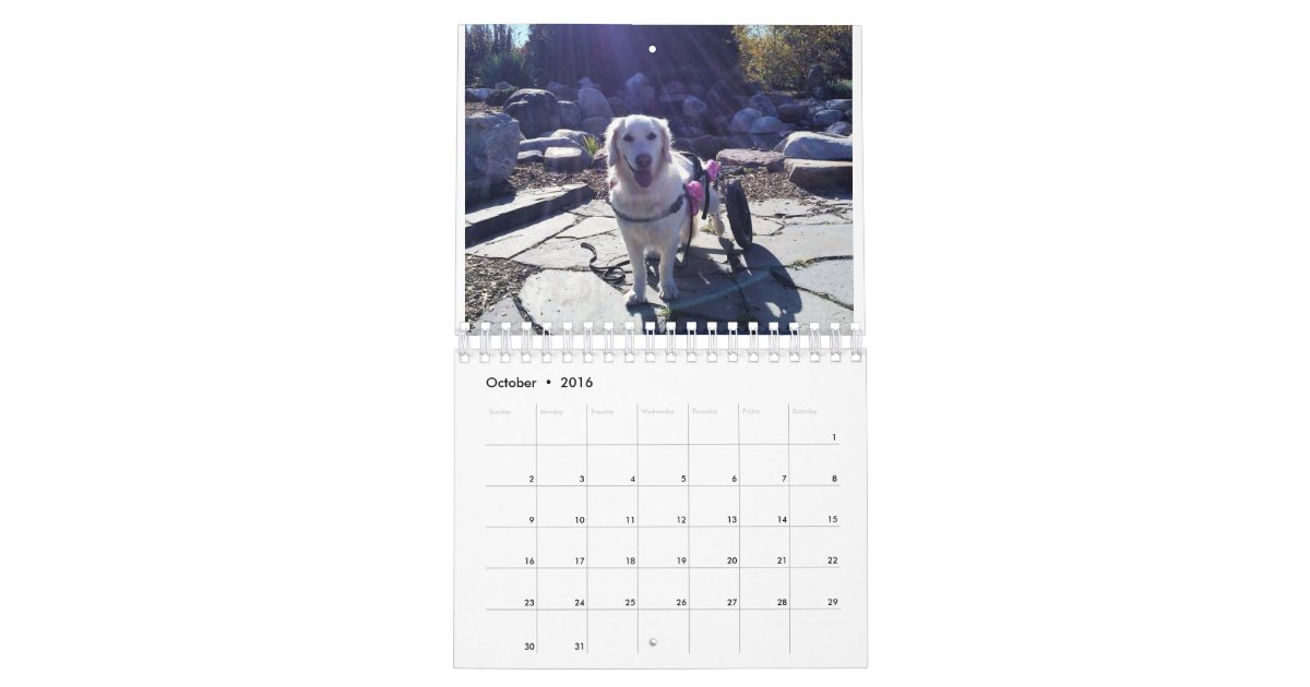 Eddie s Wheels 2016 Calendar Zazzle Eddie s Wheels 2016 Calendar Zazzle