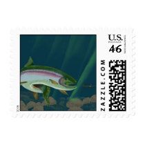 Eddys Rainbow Postage