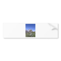 Edelweiss and Matterhorn Bumper Sticker