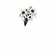 Edelweiss Flower T-Shirt
