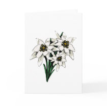 Edelweiss Flowers Card