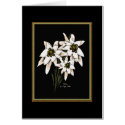 Edelweiss Flowers card