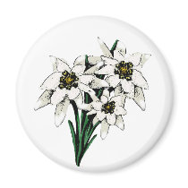 Edelweiss Flowers Fridge Magnet