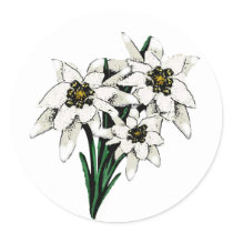 Edelweiss Flowers stickers