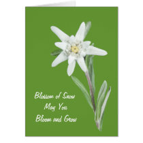 Edelweiss cards