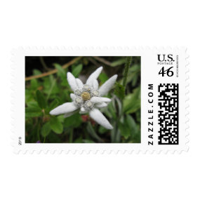 Edelweiss stamp