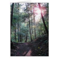 EDEN MORNING cards by wendybandurskimiller EDEN MORNING cards