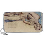 Edgar Degas - Female after the bath Speaker System