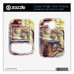 Edgar Degas - Nude Woman Cricket TXTM8 Decal
