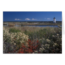 Edgartown Lighthouse and flowers Martha's Vineyard Cards