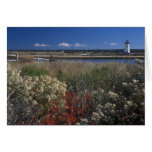Edgartown Lighthouse and flowers Martha's Vineyard cards