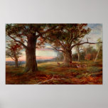 Edge of Sherwood Forest Print
