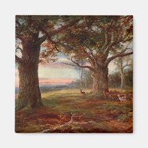 Edge of Sherwood Forest Refrigerator Magnets