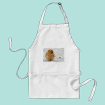 Edgrrrr #3 - Pomeranian aprons