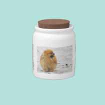 Edgrrrr #3 - Pomeranian candy jars