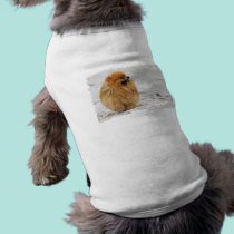 Edgrrrr #3 - Pomeranian pet clothing