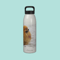 Edgrrrr #3 - Pomeranian water bottles