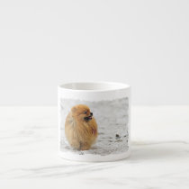 Edgrrrr #3 - Pomeranian mugs