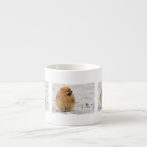 Edgrrrr #3 - Pomeranian mugs