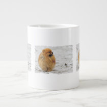 Edgrrrr #3 - Pomeranian mugs