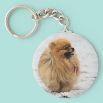 Edgrrrr #3 - Pomeranian keychains