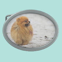 Edgrrrr #3 - Pomeranian belt buckles