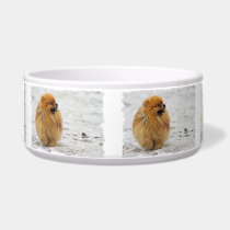 Edgrrrr #3 - Pomeranian pet bowls
